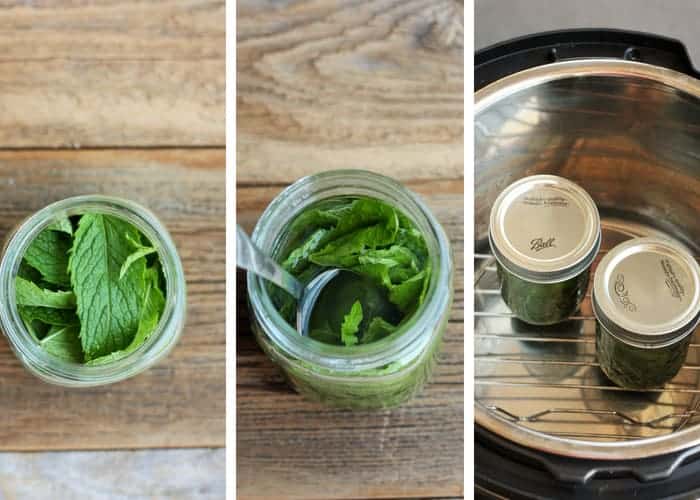 process shots for making homemade peppermint extract