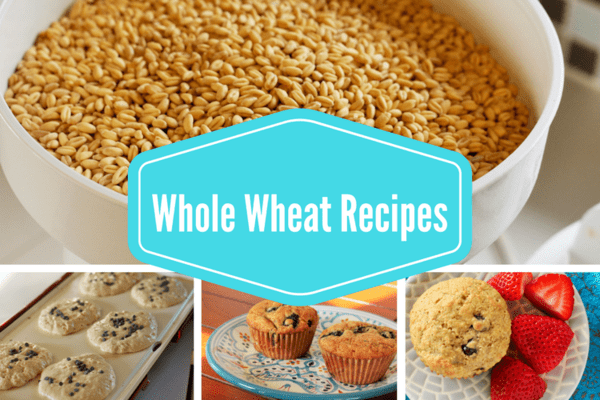 Whole Wheat Recipes