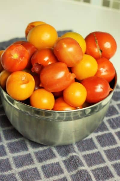 canning diced tomatoes at home, canning diced tomatoes, how to can diced tomatoes, DIY diced tomatoes