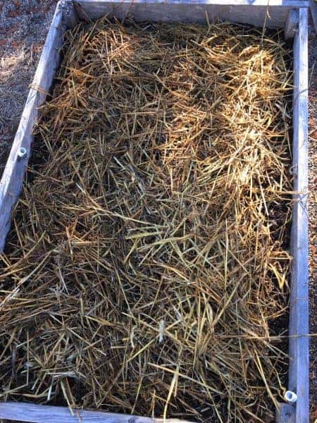 a raised bed with straw on top