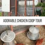 Adorable Chicken Coop