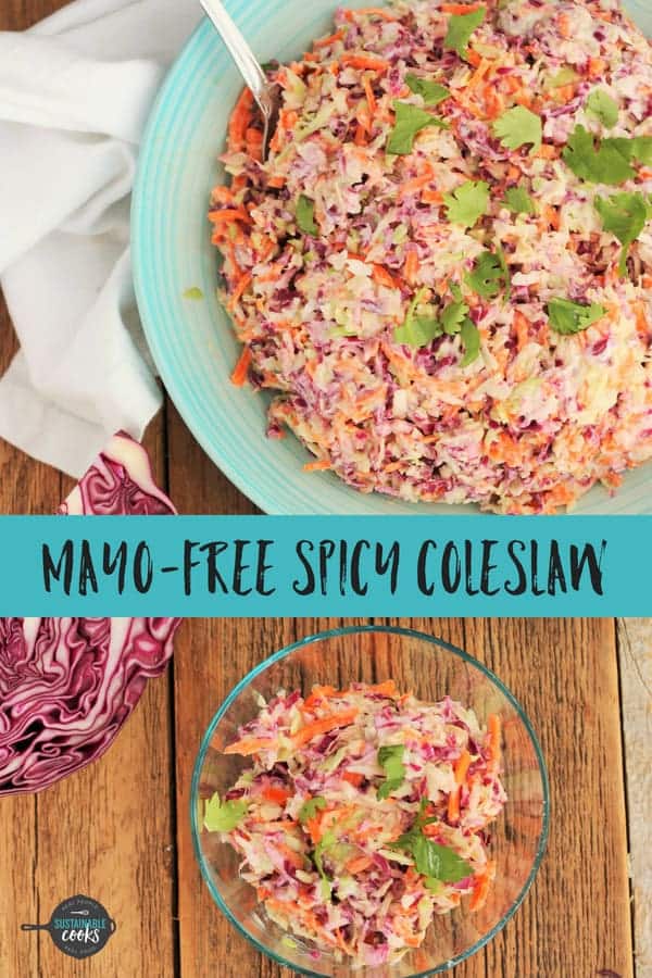 A simple recipe for Easy Spicy Coleslaw that not only tastes delicious but is healthy too. The zesty homemade dressing has no mayo and uses creamy Greek yogurt. #sustainablecooks #coleslaw #nomayo #easysidedish