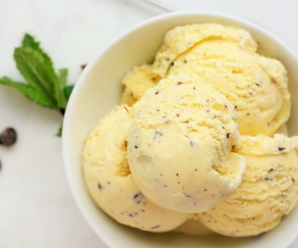 homemade mint chocolate chip ice cream with mint sprigs and chocolate chips on a white background