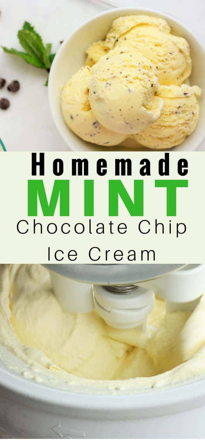 Ditch the industrial green store-bought ice cream and learn to make your own Homemade Creamy Mint Chocolate Chip Ice Cream. A fresh mint taste and all-natural ingredients mean this mint chip will be the best ice cream you'll ever make. #ice cream #mintchip #homemadeicecream #mintchocolatechip #sustainablecooks