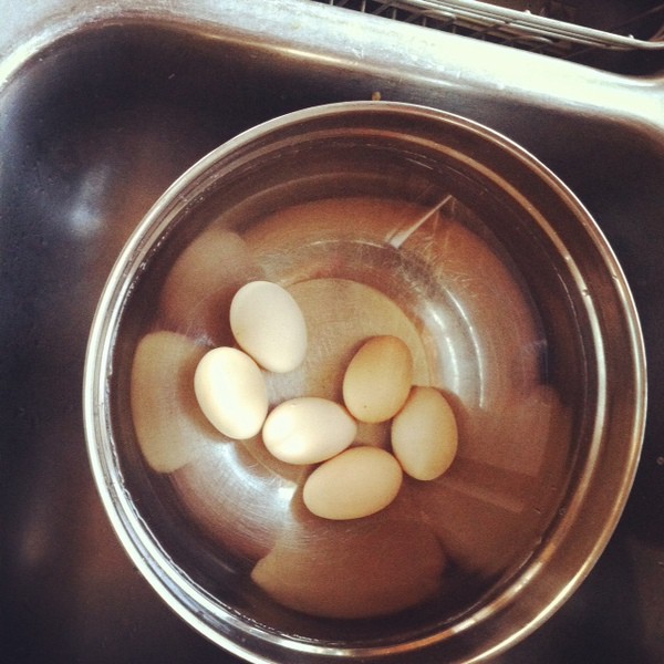 eggs in a bowl - visit www.sustainablecooks.com for more information
