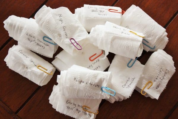 rolls of homemade seed tape with colorful paperclips and writing