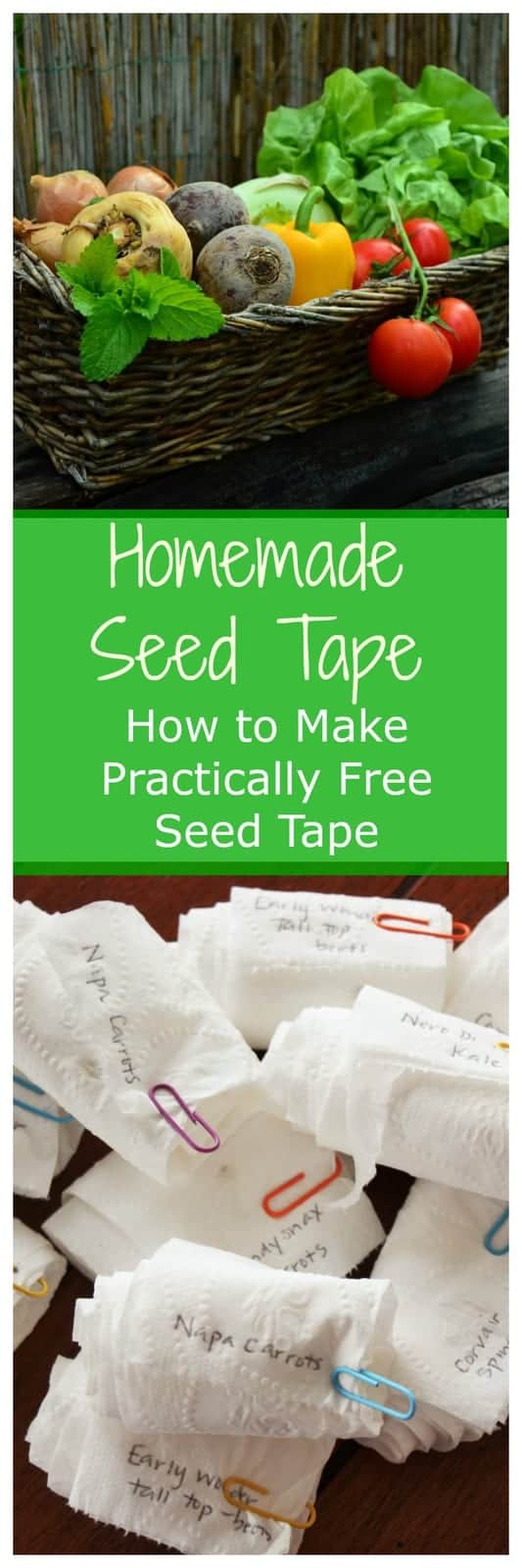 Seed tape is the best and most efficient way to get a perfectly spaced garden this year. No more planting tiny seeds and then thinning them later!