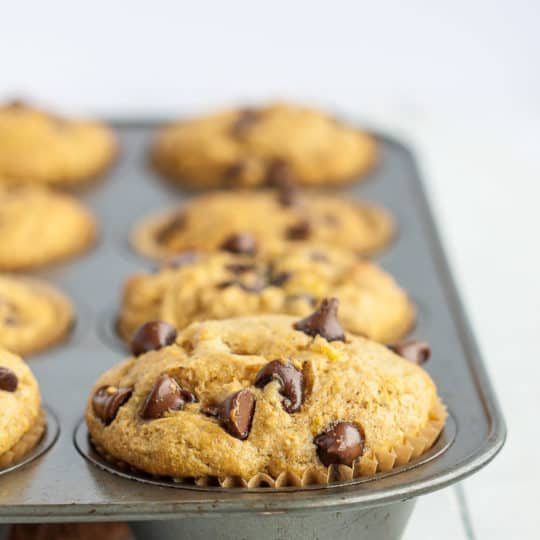 a muffin tray with a fluffy healthy banana chocolate chip muffin in focus