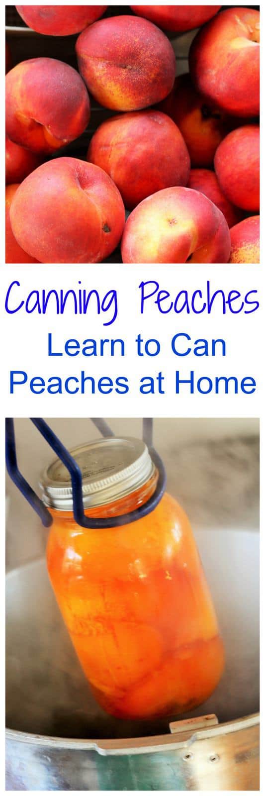 How to can peaches! Learn all about canning peaches. This photo tutorial on canning peaches will show you the process step by step.