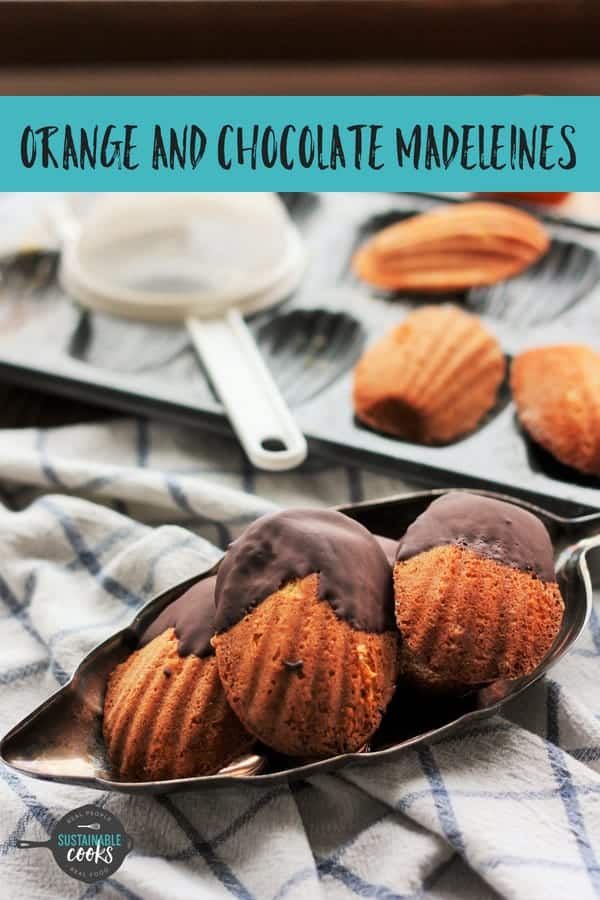 Part little cake, part delicate cookie, Orange and Chocolate Madeleines are the perfect bite. This recipe for these distinctive light and airy French butter cookies is delicious and foolproof. #sustainablecooks #madeleines #orange #chocolate #orangeandchocolate