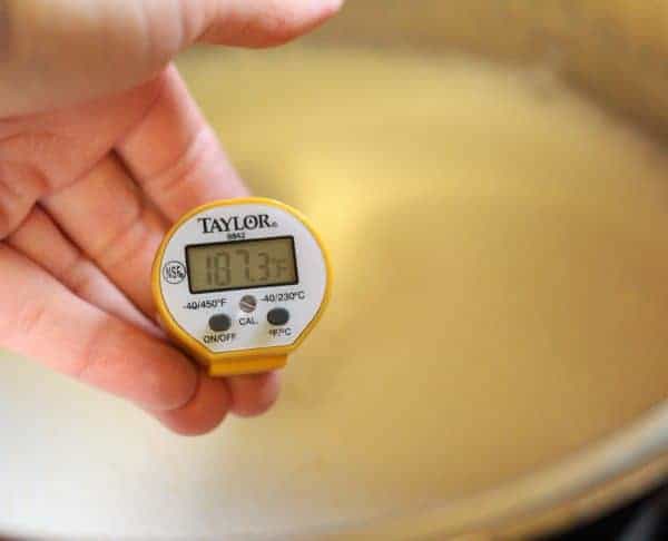 thermometer in milk in an instant pot for making yogurt | www.sustainablecooks.com