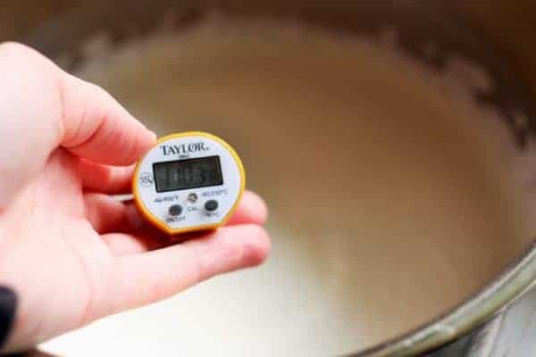 a thermometer in milk for making Instant pot yogurt | www.sustainablecooks.com