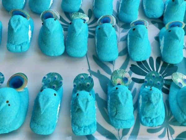 peacock cupcake toppers