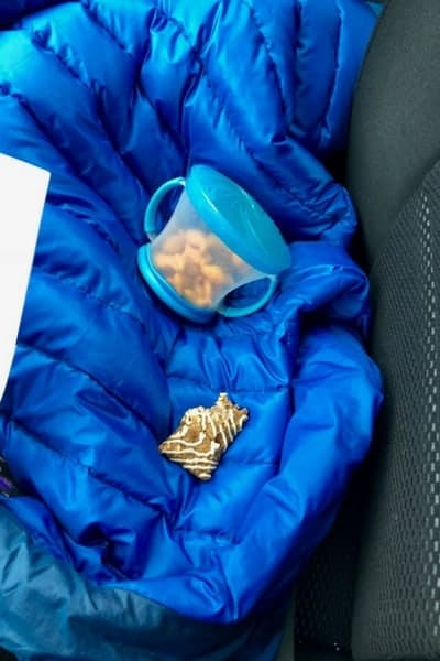 snacks on a blue coat in a car
