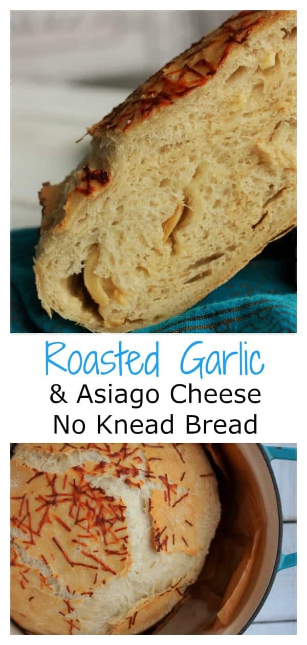 Roasted Garlic and Asiago Cheese No Knead Bread is the perfect easy bread for new bakers. No Knead Bread has a short ingredients list and requires only a few baking tools.