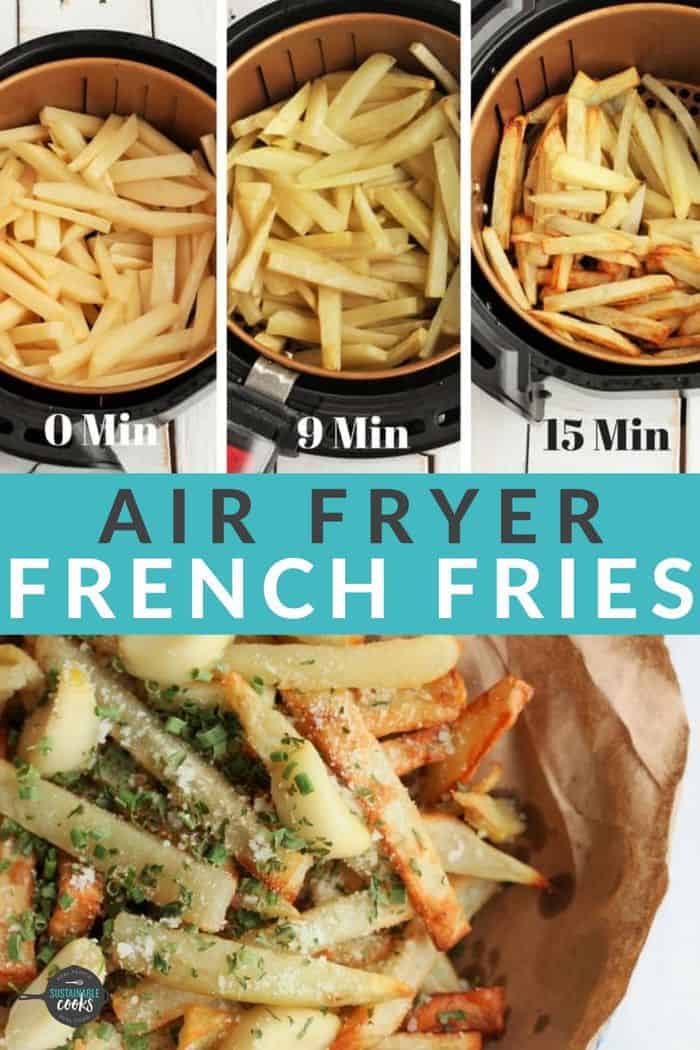 Air Fryer Fries Sustainable Cooks