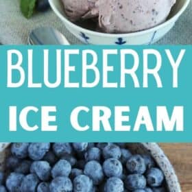 a bowl of blueberry ice cream
