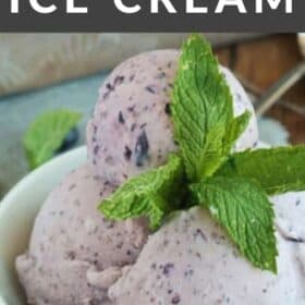 a bowl of homemade blueberry ice cream