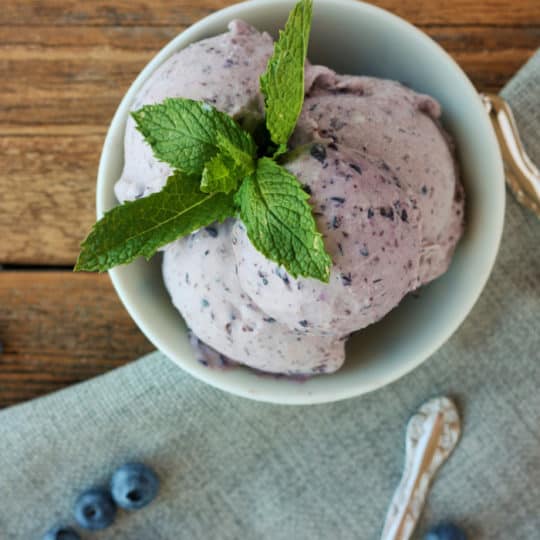 A bowl of fresh blueberry ice cream