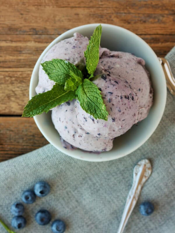 A bowl of fresh blueberry ice cream