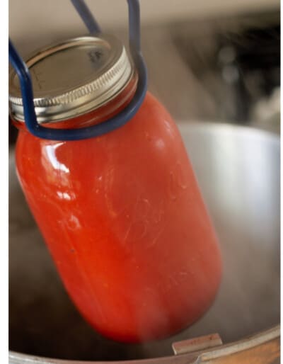 Canning Tomato Soup Base - Sustainable Cooks