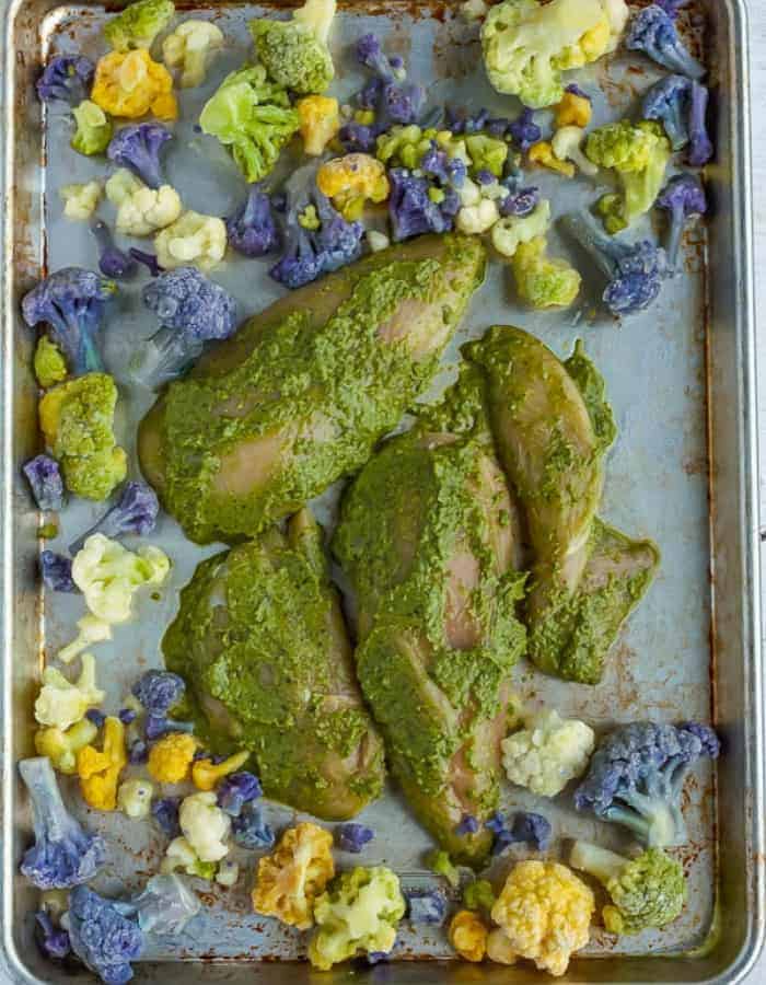 pesto chicken and cauliflower on a sheet pan