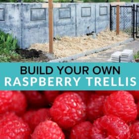 raspberry trellises
