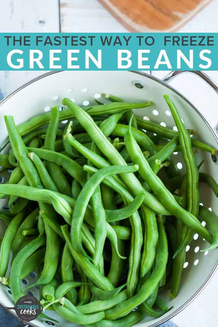 Blanched Green Beans {Freezing Green Beans} Sustainable Cooks