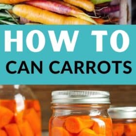 jars of canned carrots