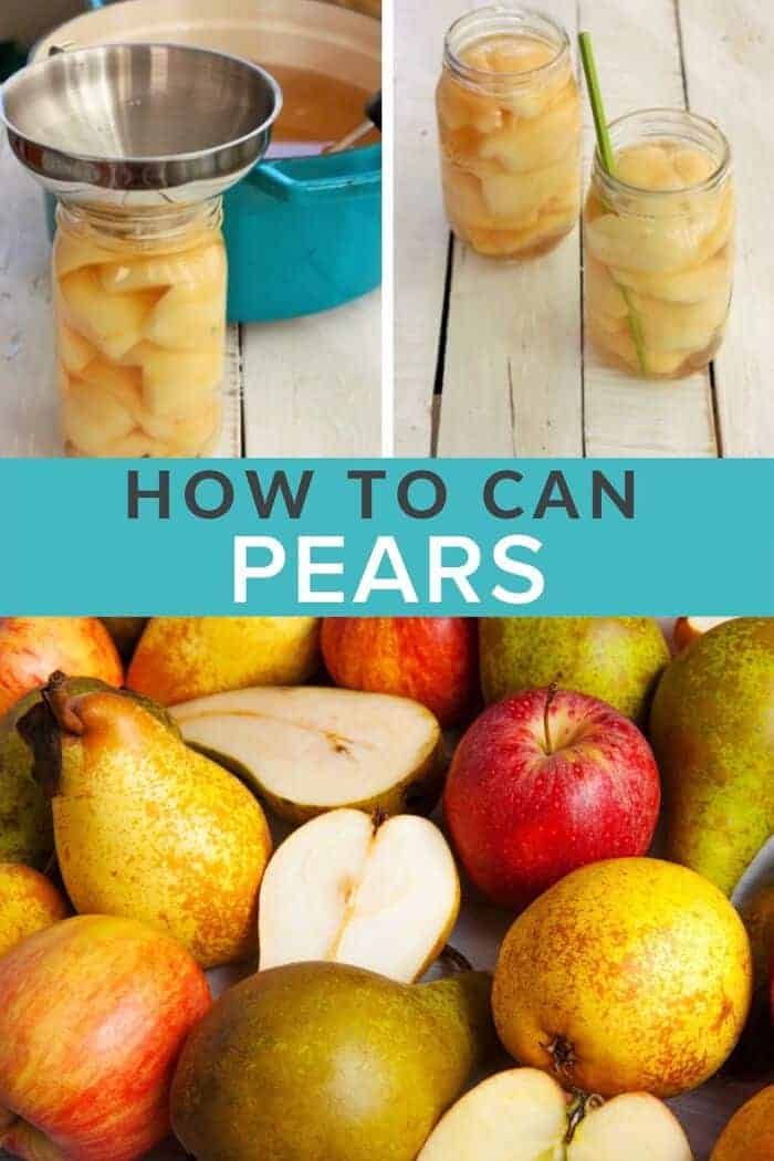 pear canning recipes no sugar