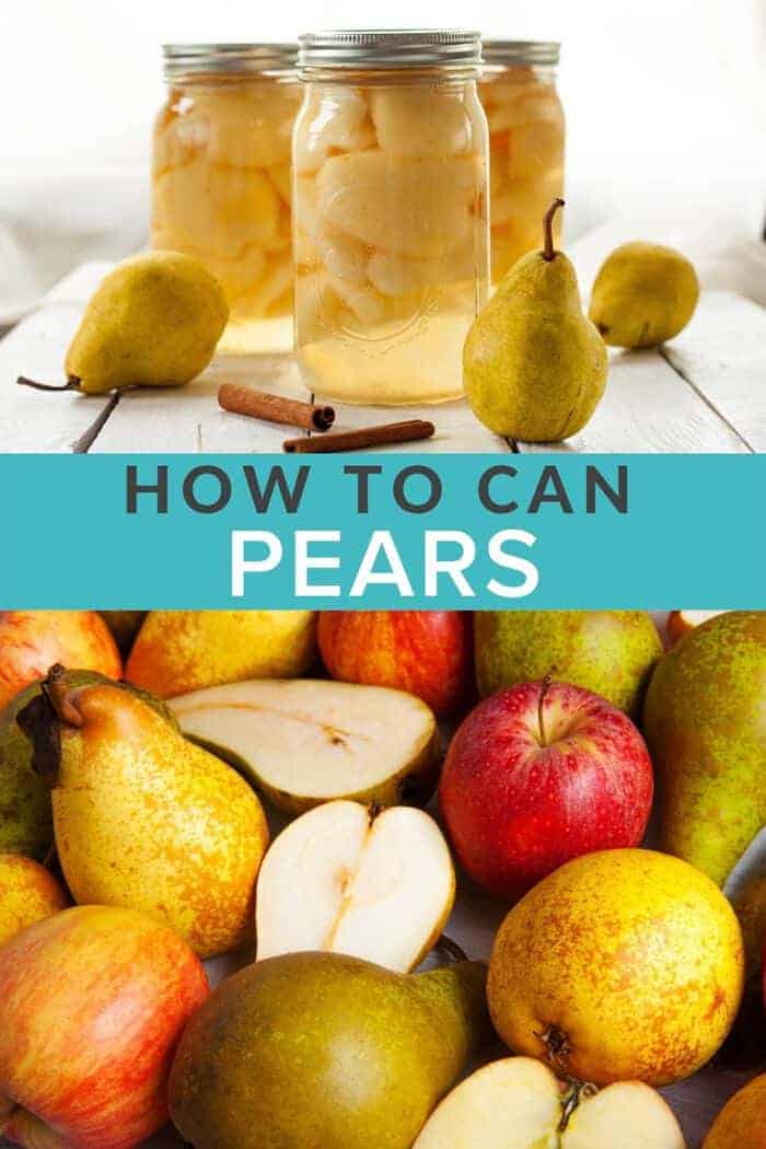 Canning Pears {Preserved Pears} Sustainable Cooks