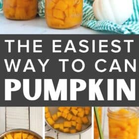 cubes of canned pumpkin