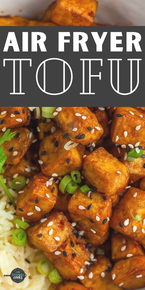 Best Air Fryer Tofu Recipe Sustainable Cooks