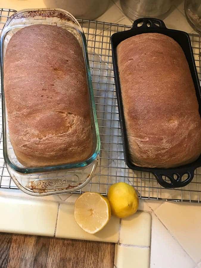 2 loaves of bread on a tile countertop