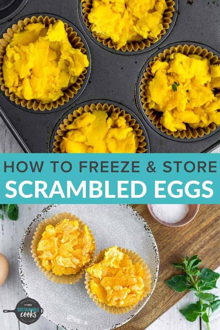 Freezing Scrambled Eggs Sustainable Cooks