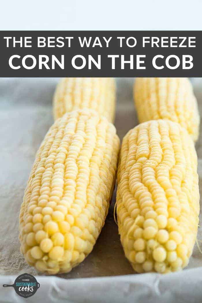 How to Freeze Corn on the Cob Sustainable Cooks