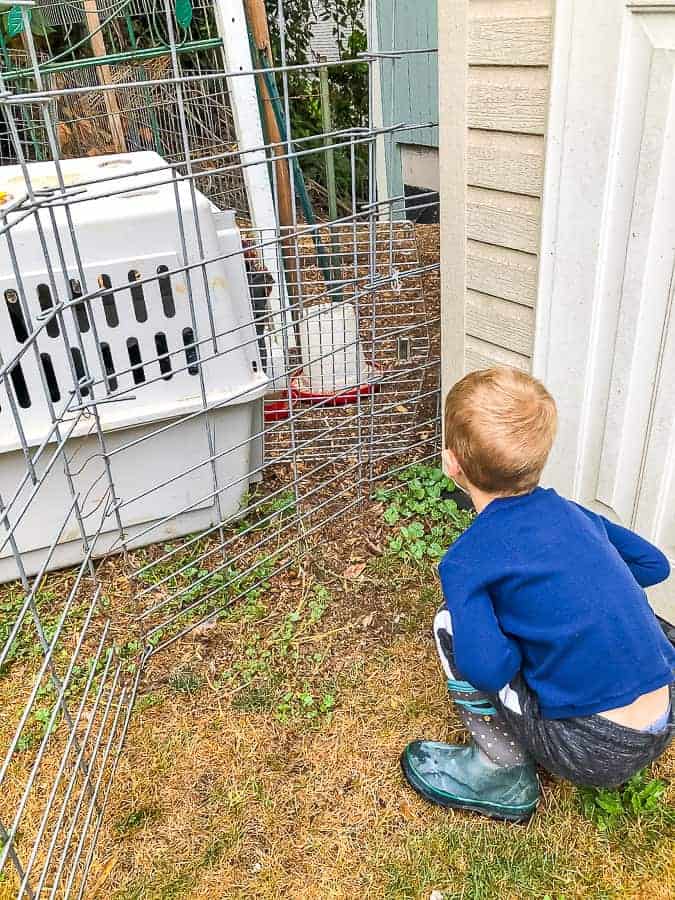 a boy crouched near a dog crate