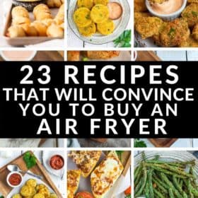9 photos of different air fryer appetizers