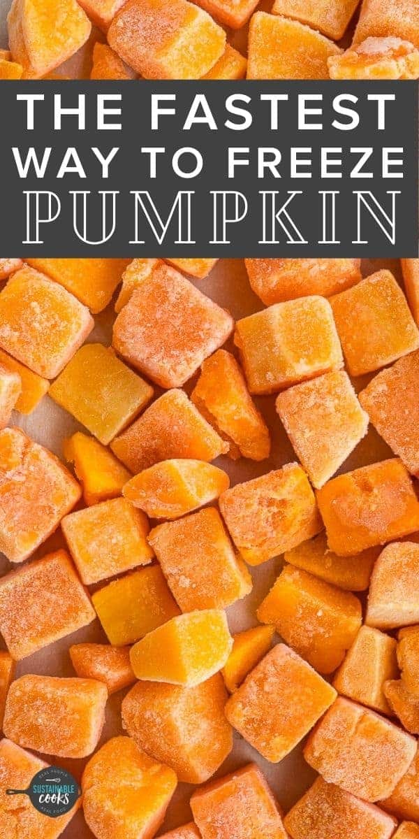 Freezing Pumpkin {How to Freeze Pumpkin} Sustainable Cooks