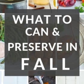 multiple photos of fall produce and dishes