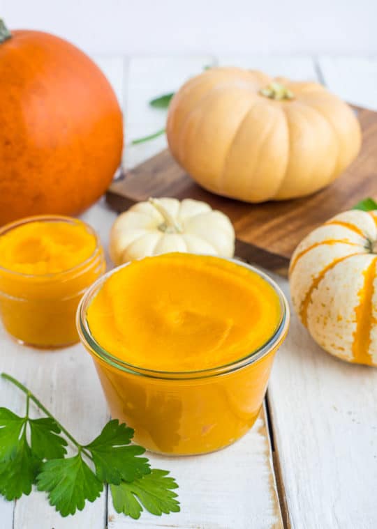 Freezing Pumpkin {How to Freeze Pumpkin} Sustainable Cooks