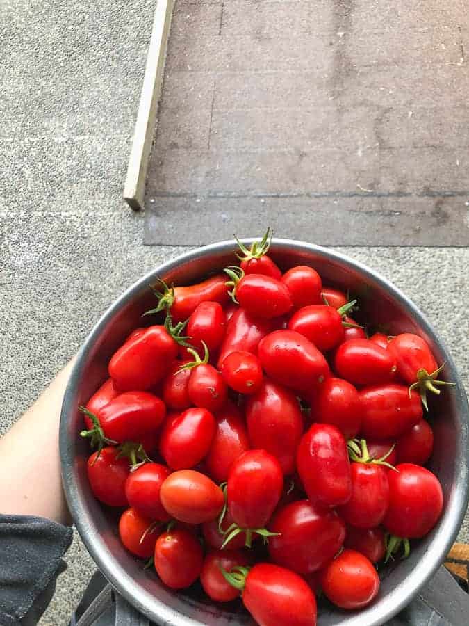 a large bowl full of tomatoes