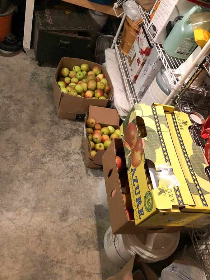 boxes of apples and pears in a garage