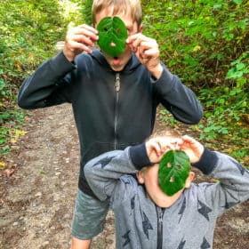 2 boys in sweatshirts with leaves over the faces