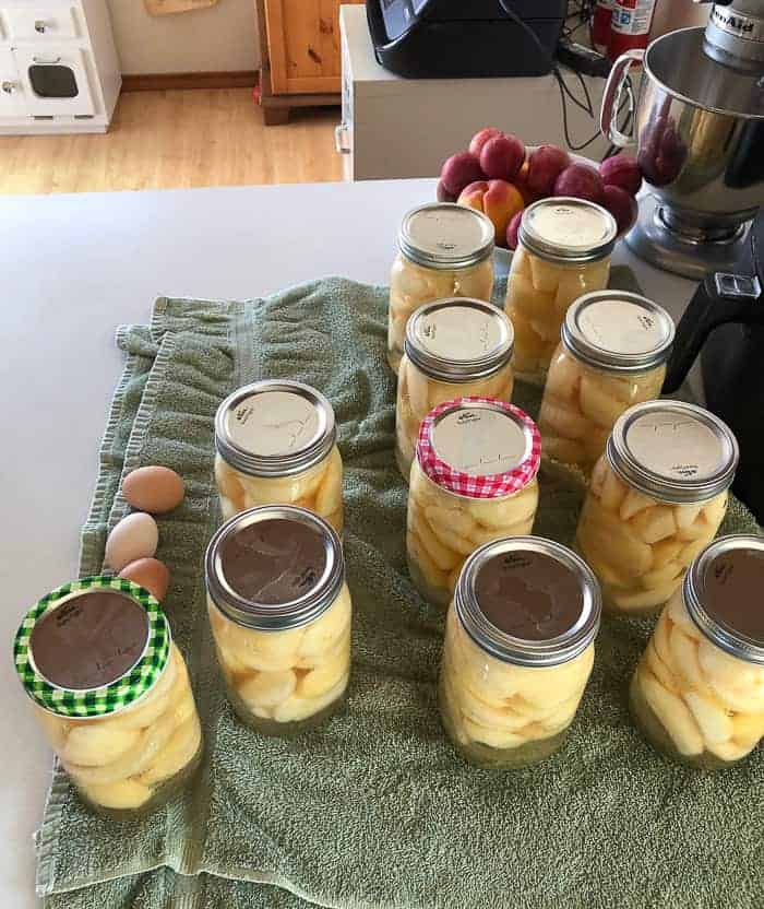 canned pears on a towel
