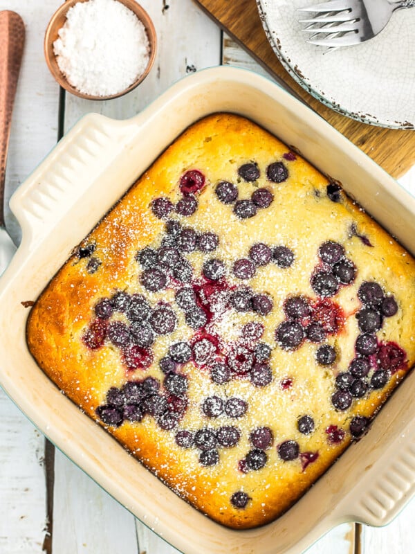 a dish of frozen berry cake