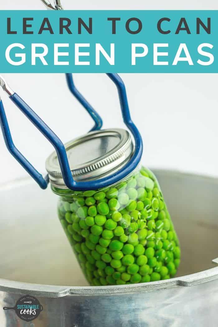 Canning Peas {How to Can Peas} Sustainable Cooks