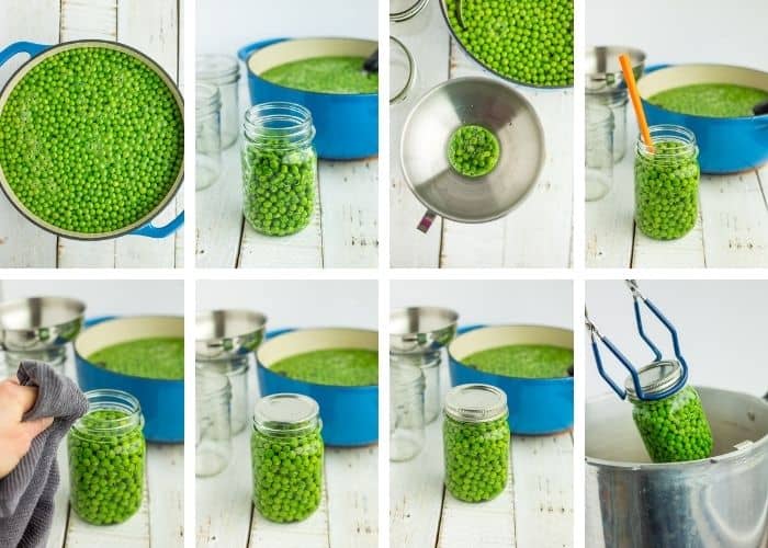 8 photos showing step by step how to can peas