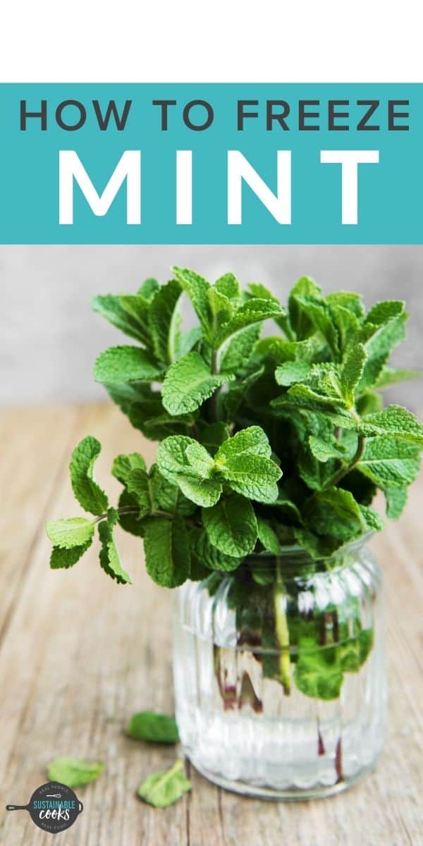 Freezing Mint {How to Freeze Mint 4 Ways} Sustainable Cooks