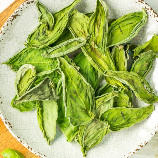 a plate of dehydrated basil leaves
